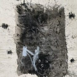 Juanita Frier - Space