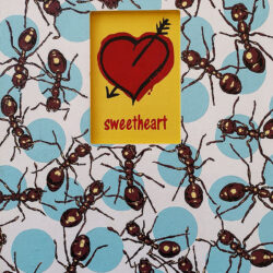 Louis van den Heever - Sweetheart