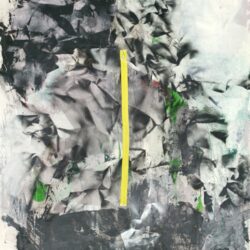 Toni Bico - Unearthing -   2020 