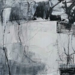 Fiona Rowett - Night Noise III