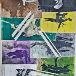 Toni Bico - Birds flock together