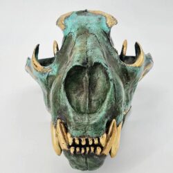 Carlo Gamberini - Lion Skull