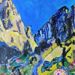 Faye Spencer - Proteas and Peaks