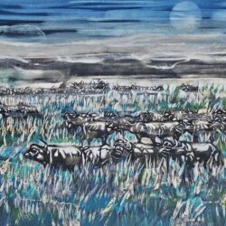 Gordon Vorster