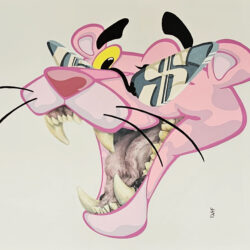 Kayf - Big Cats