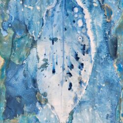 Petru Viljoen - Beautiful Blue Hues
