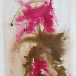 Trevor Coleman - Collage of Colour