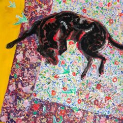 Faye Spencer - Bruno's Dream