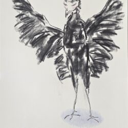 Kristin NG-Yang – Feathered Friends, No 10