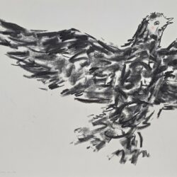 Kristin NG-Yang – Feathered Friends, No 12