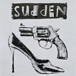 Louis van den Heever - Sudden Moves